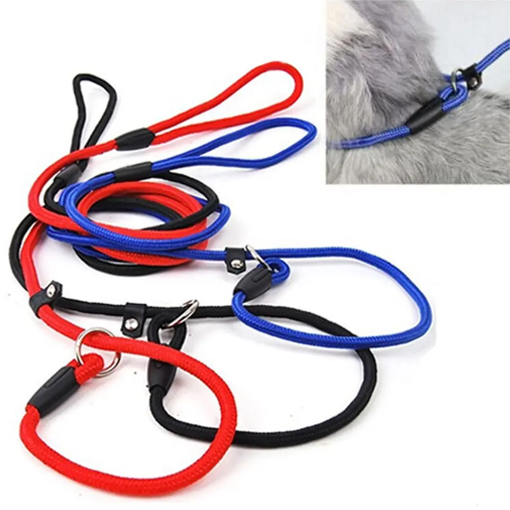 

New Hot Training Lead Rope Rope Strap Pet Strap Collar Traction