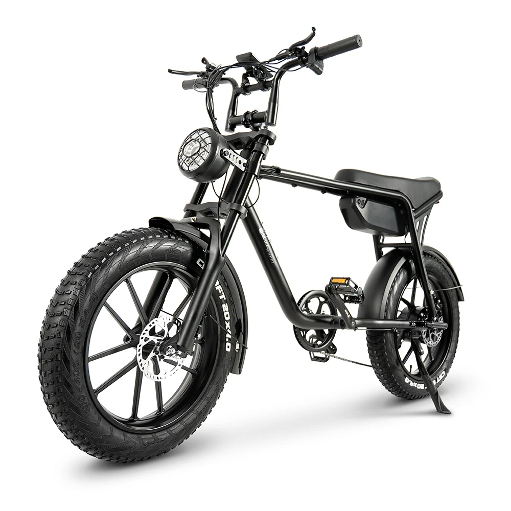 Folding Electric Bicycle with 20-inch Tire 48V 5-speed 750-watt Motor Adult Fat Tire Beach Electric Bicycle Long Seat Custom