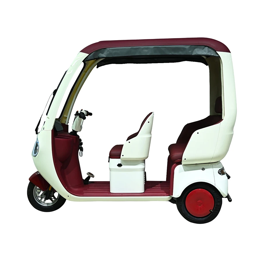 

Popular 800W Adult Electric Tricycles 60/72V Good Performance 60/72V 800W Adult Electric Tricycles with Open Body Type