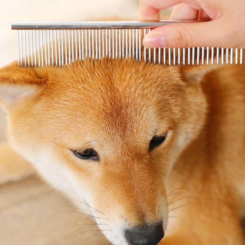 Thumbnail 2 - #17 Cat Grooming Comparison Guide