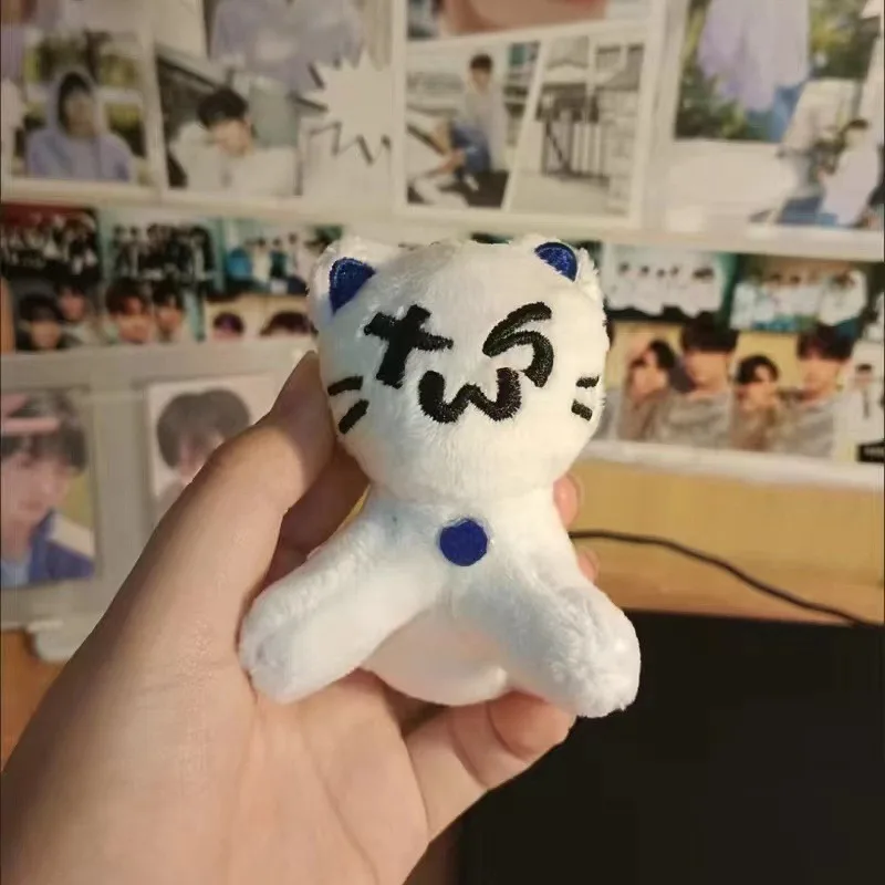 9 سنتيمتر Kpop بلوشي TWS القط لطيف أفخم المفاتيح دمية محشوة دمية قلادة كيرينغ حقيبة ظهر ساحرة SHINYU DOHOON اكسسوارات