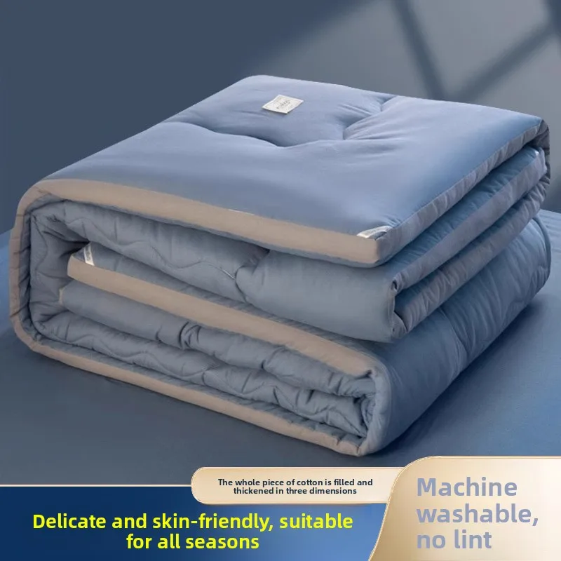 Winter Thick Warm Comforter Spring Autumn Student Dormitory Single Filling Air Conditioning Bedding Winter Thick Quilt