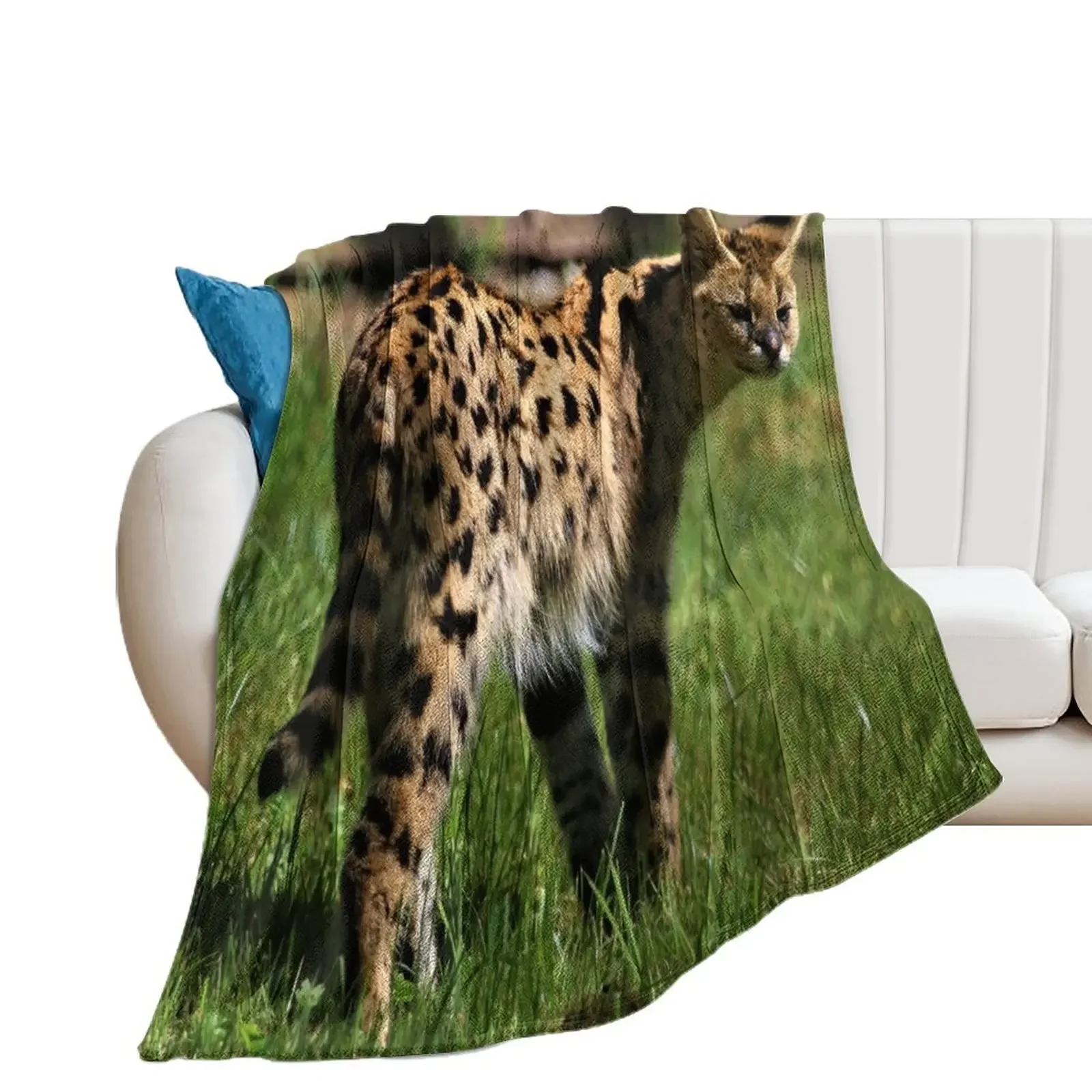 Sleek Serval Throw Blanket valentine gift ideas Comforter Plaid on the sofa Thins Blankets