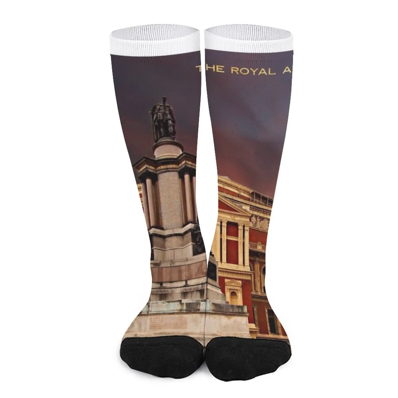 The Royal Albert Hall, London Socks Men's socks with print compression socks men Women's short socks