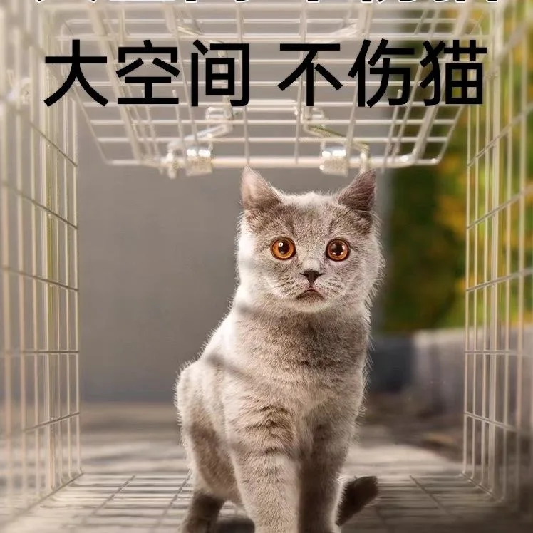Cage Automatic Pedal Cat Catching Artifact Cat Catching Artifact Large Household New Sensitive Wild view 2