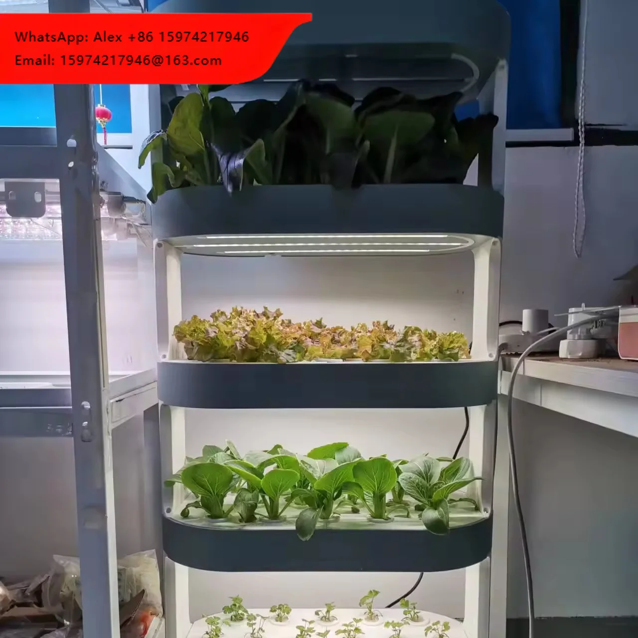 Hydroponic System For Leaf Vegetable And Herb Cultivation