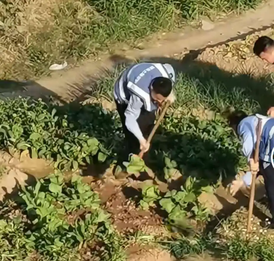 

WLtoys Remote Control Car 244016-3323 pull rod Off-road High-speed Car Original Factory Parts 244006 Universal Parts