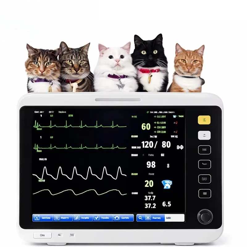 

Pet multi-parameter , veterinary monitoring device 12.1 inch touch screen portable animal veterinarian