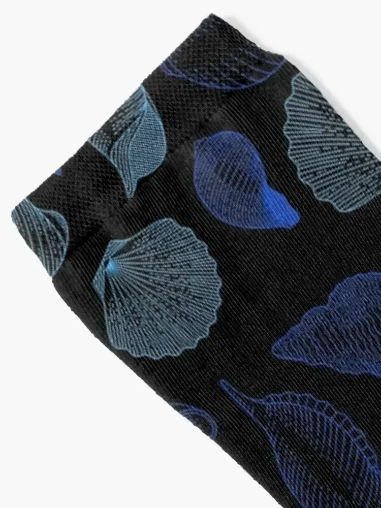 Seashell pattern. Socks luxury Wholesale gifts fashionable Boy Socks Women's