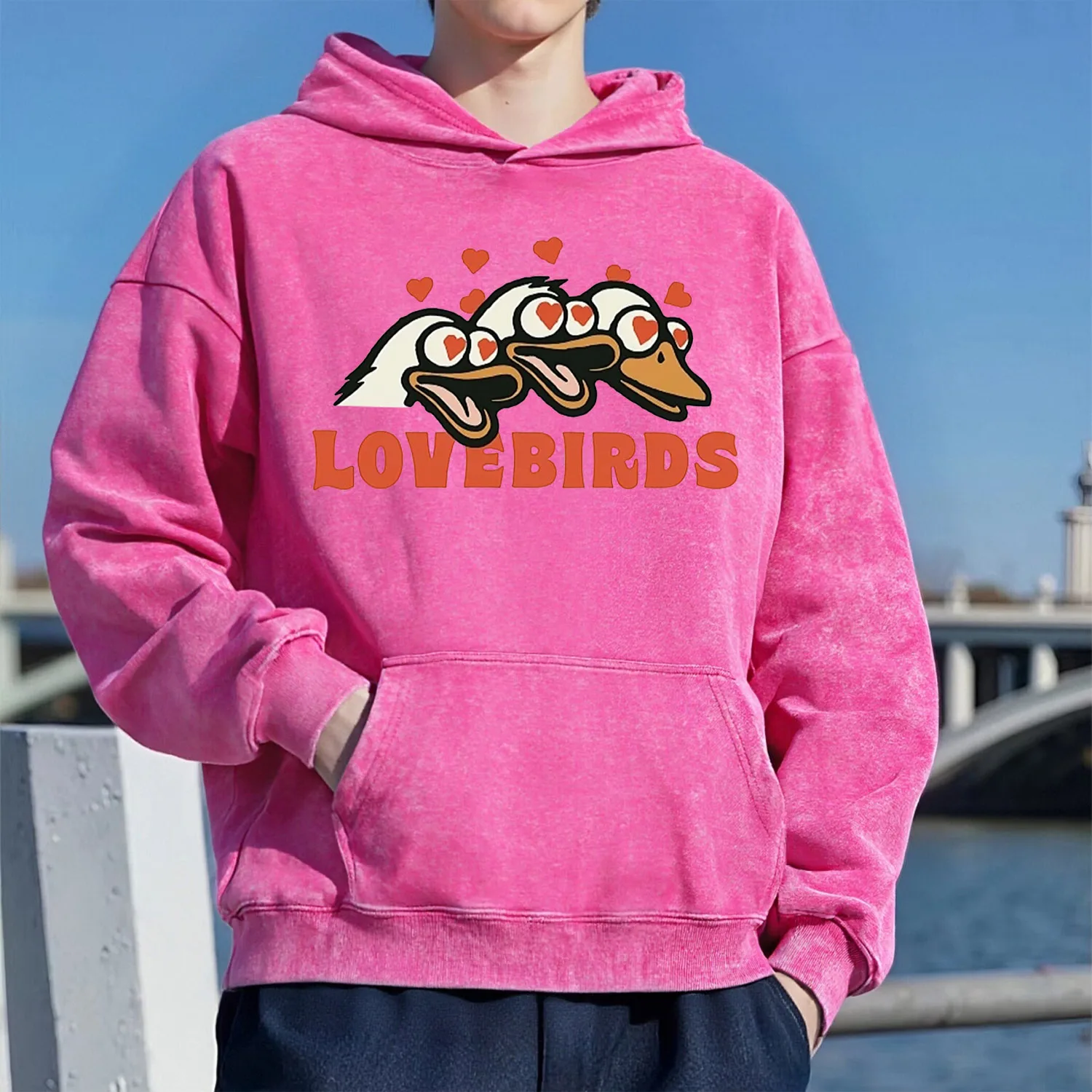 

Толстовка с капюшоном LOVE BIRDS в стиле ретро, унисекс, повседневный спортивный стиль, изготовленный из чистого хлопка, уличный стиль, 400 г