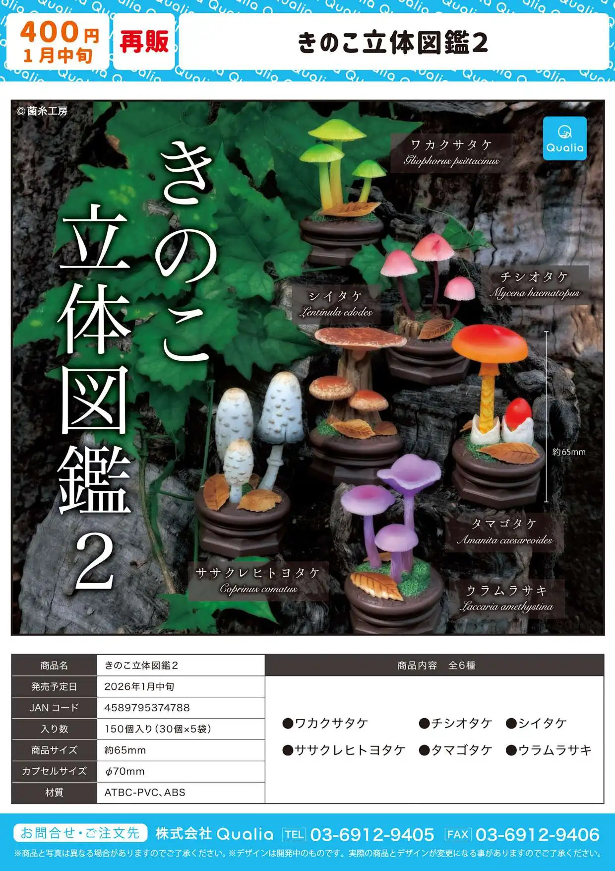 

Н. 2026 Предпродажа, капсульные игрушки Qualia, 3D грибная энциклопедия, визуальный словарь, 2 деревянных подставки, листья, украшения, фигурки