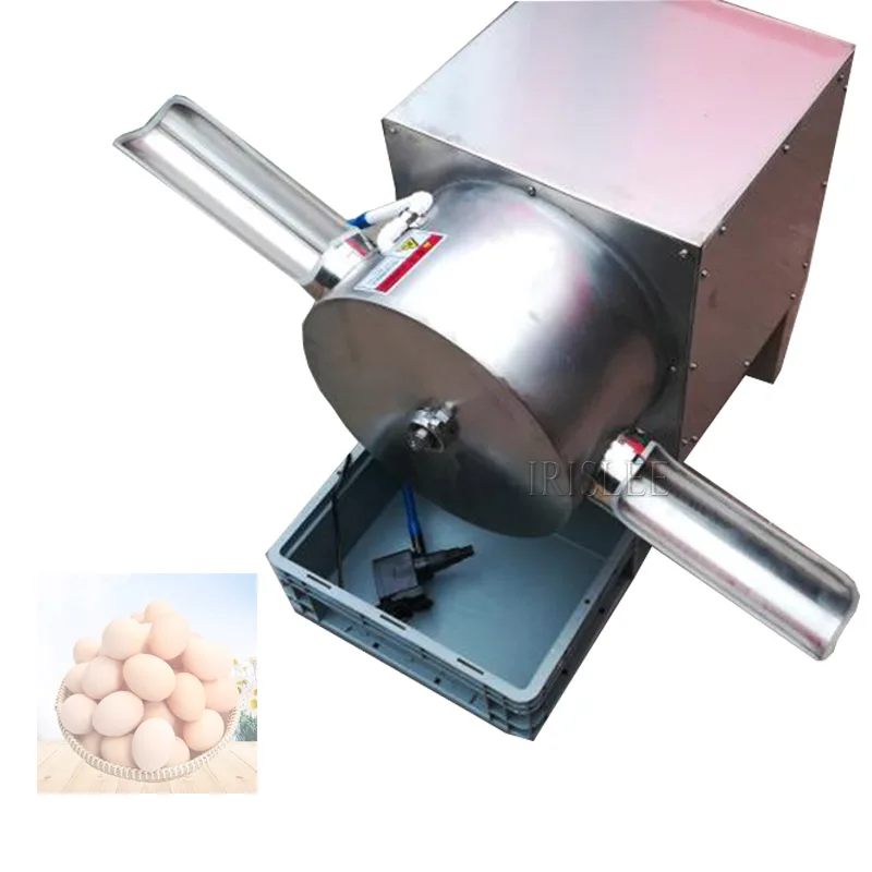 Goose Eggs Cleaning Machine Chicken Egg Washer Duck Egg Washing Equipment