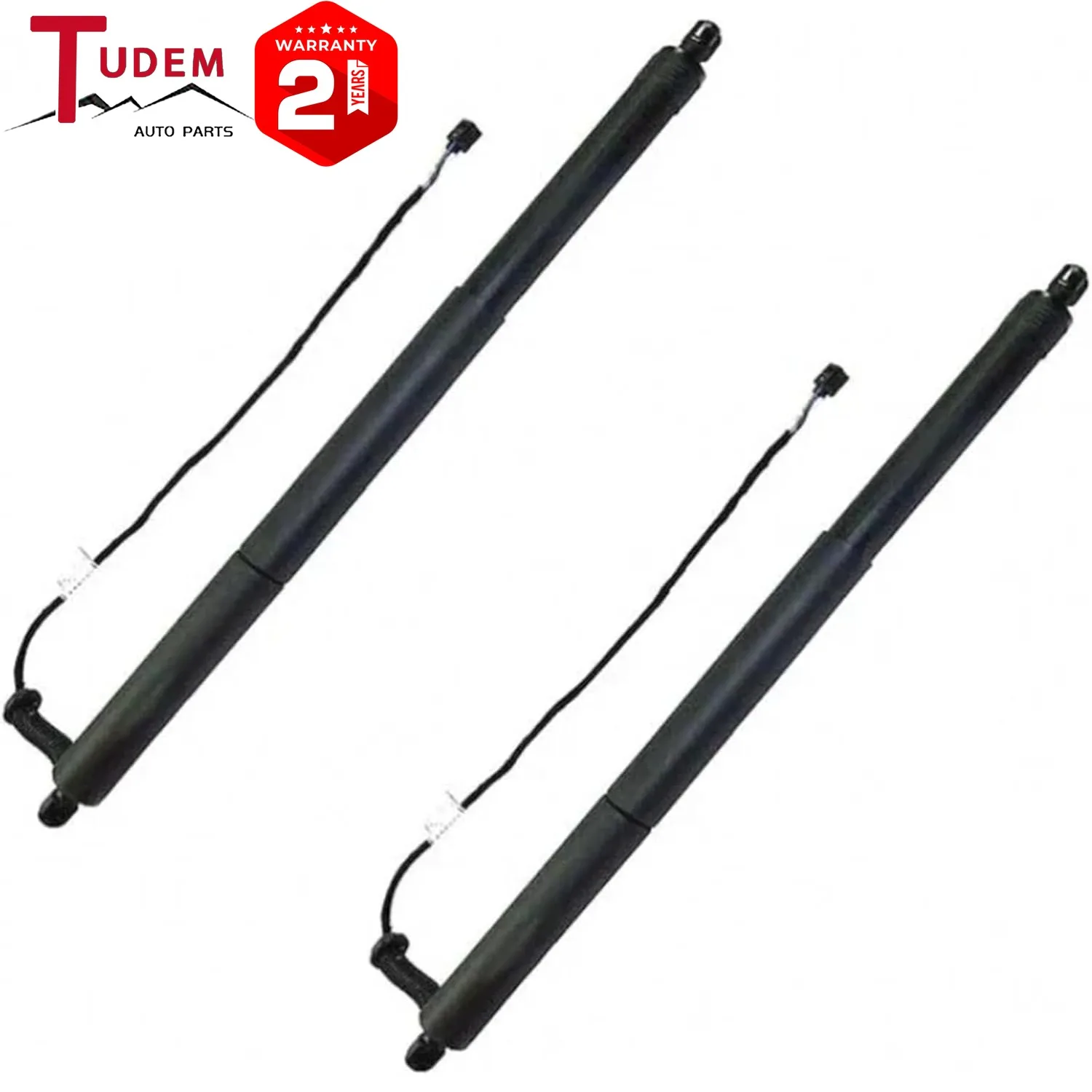 2pcs Power Lift Support Struk Shock Tailgate FOR 2015-2019 Audi Quattro Q3 8U0827851 D224