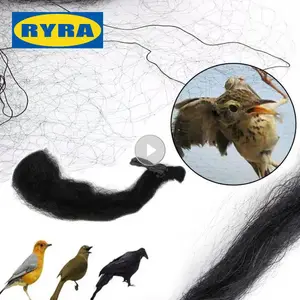 شبكة المحاصيل المقاومة للطيور للطيور ، شبكة الدواجن ، مقاومة الطيور ، أداة الحدائق ، النبات ، البرك ، شجرة الفاكهة ، حماية الشبكة أفضل 12 شبكة مبيعات لاصطياد الطيور - رقم 3