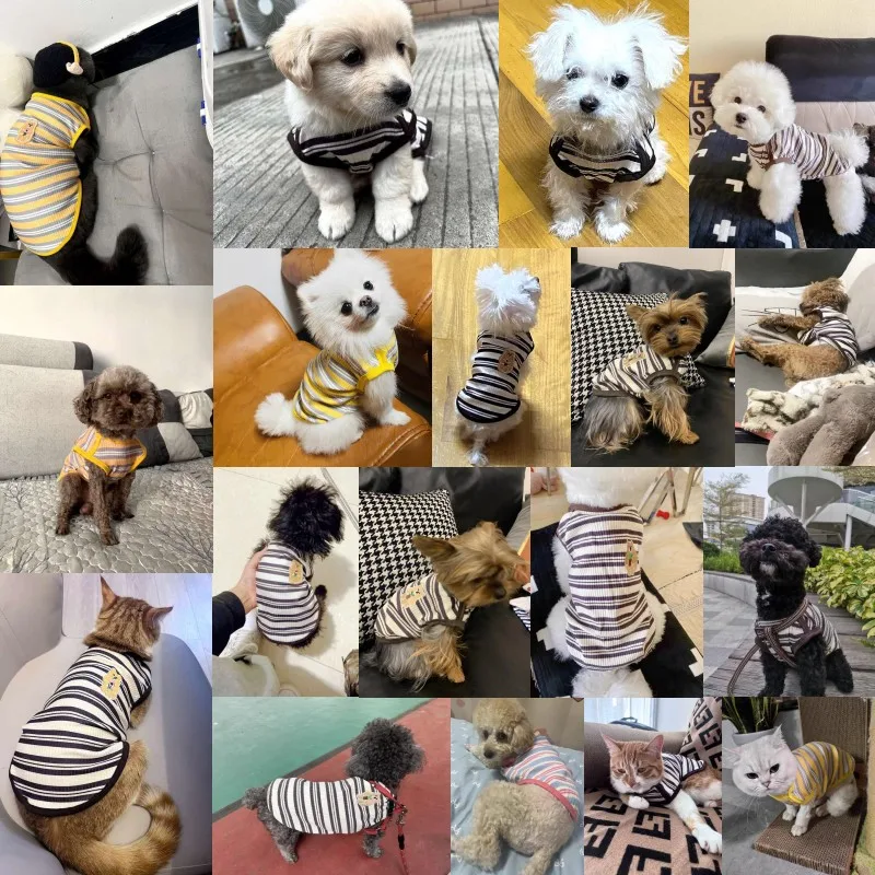 Fashion Dog Vest Summer Pet Dog Clothes for Small Dogs Cute Puppy Thin Shirt Bear Print Cat Vest Pet Clothing Chihuahua Clothes