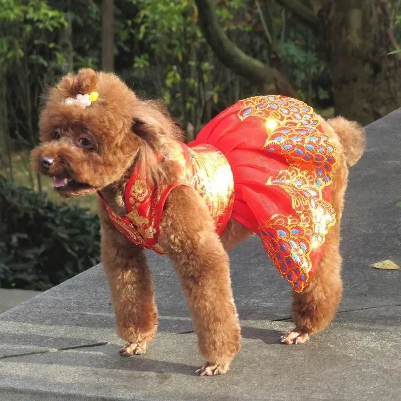 Summer Dog Dress New Year Pet Clothes Cat Dog Clothing Tang Suit Cheongsam Poodle Bichon Yorkshire Pomeranian Maltese Costumes