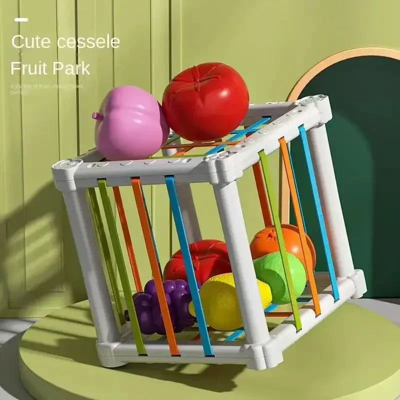 Toy Rainbow Fruit Cecil Cognitive Matching Infant Toy Puzzle Early Education Enlightenment Grasp Training image 4