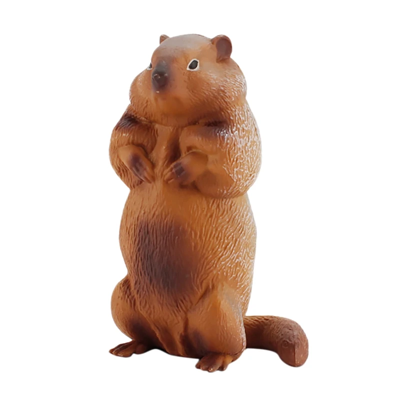 FBIL-Simulation Forest Wild Animal Solid Model Groundhog Desktop Ornaments Early Education Cognitive Toys Children Gifts