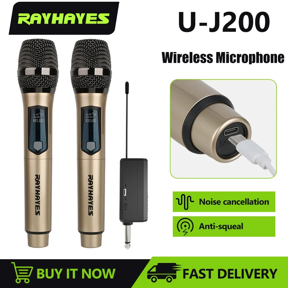 RAYHAYES Wireless Microphone 2 Channels Fixed Frequency Handheld Mic Micphone With Receiver For Party Karaoke Professional Show