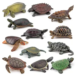 Simulation Ocean Reptile Animal Sea Turtle Series Miniature Model Action Figures Figurine Collection Cognition Creativity Toys