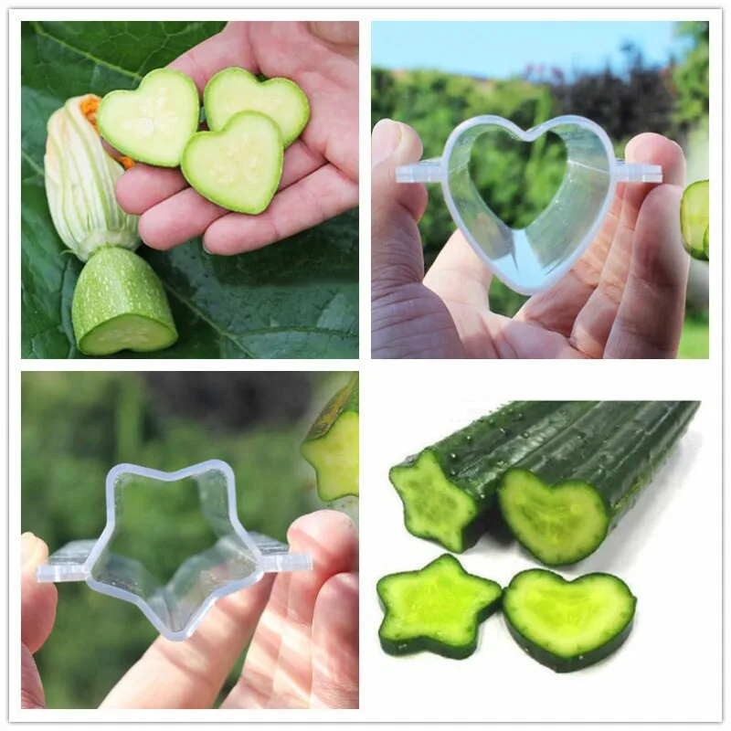 Garden Fruits Growth Forming Mold Apple Peach Growing Shaping Tool Star/Heart Shaped Non Toxic Garden Plant Tool