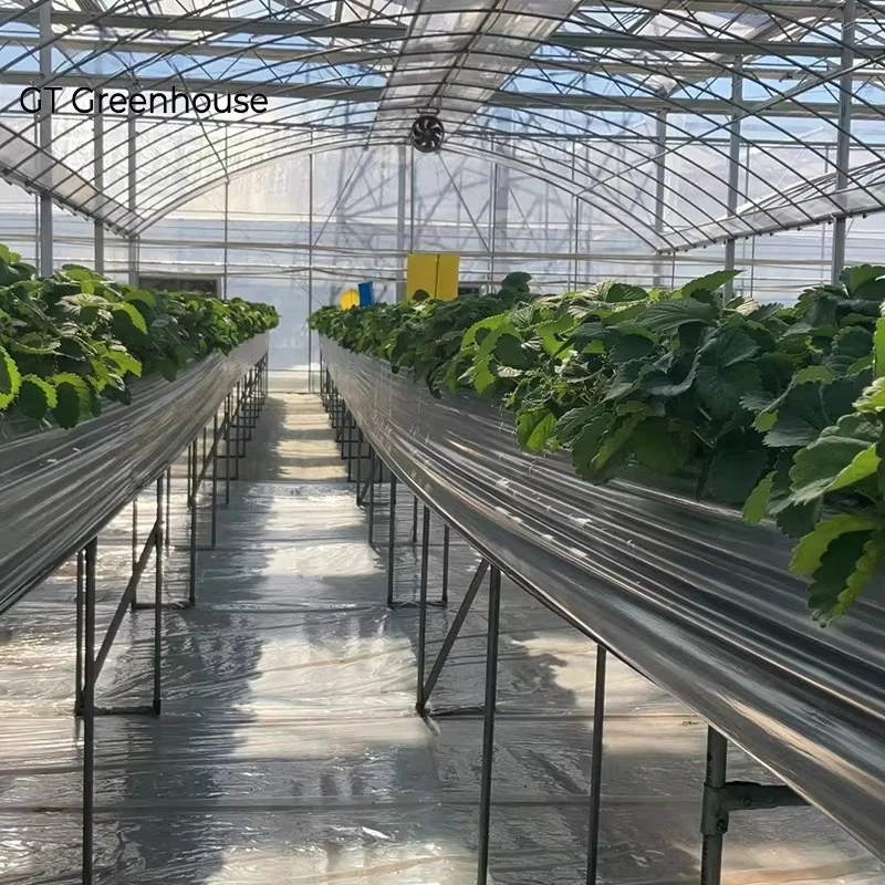 Agricultural Hydroponic System Multi-Span Film Greenhouse Plastic Plant Growing House Serre Agricole Invernadero