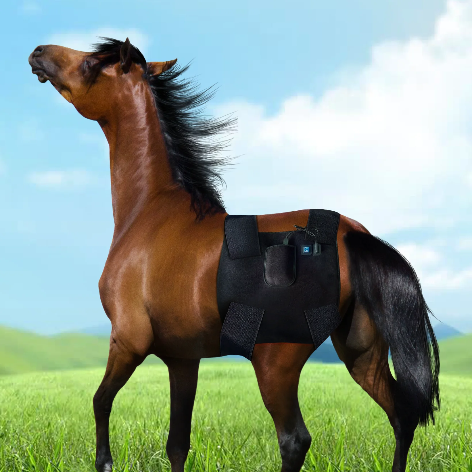 Soft Leg Red Light Therapy Pad Horse Muscle Relax Recovery Farm Health Care Gear