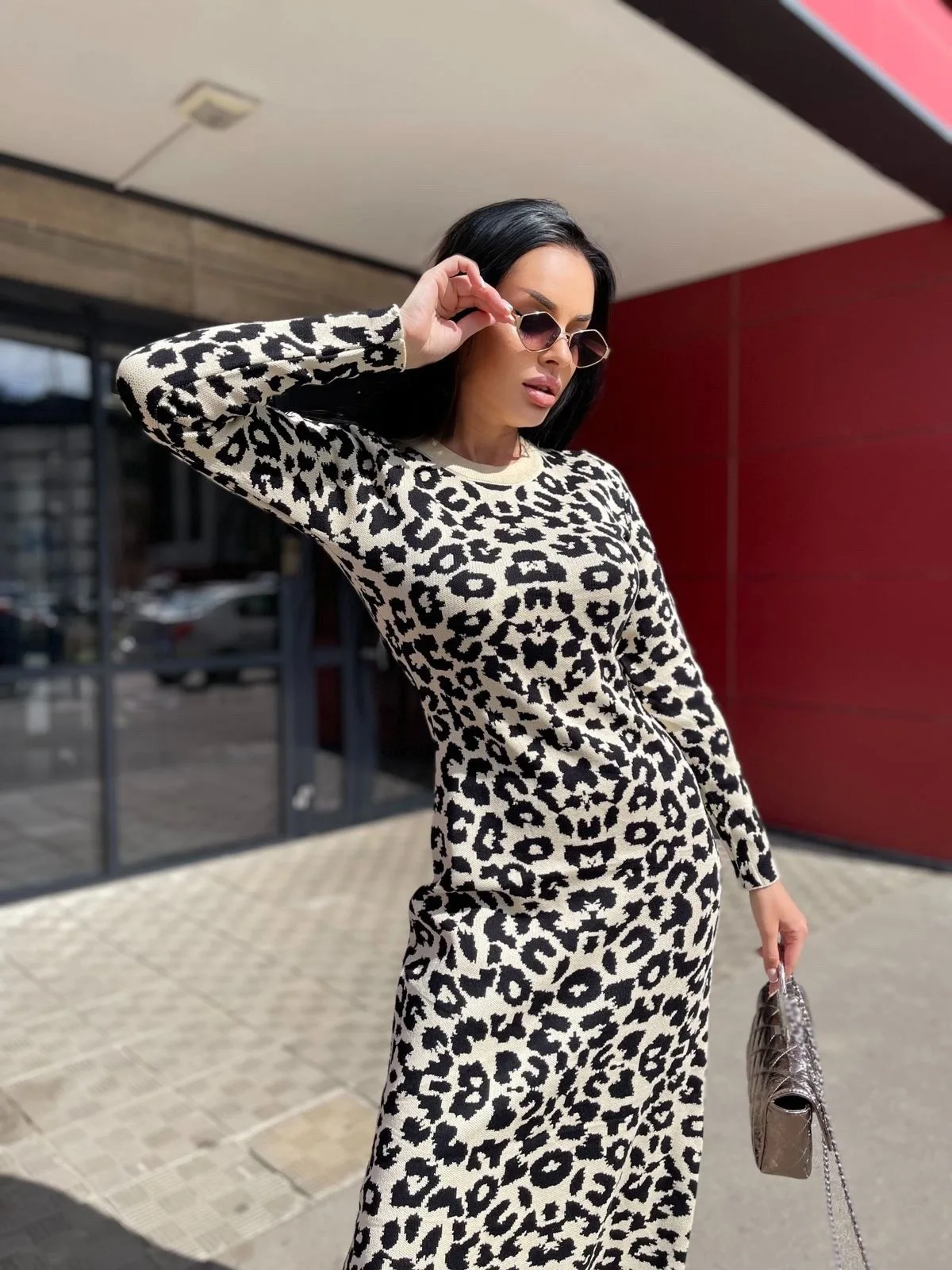 Fashion Leopard Knitted Women Dress Autumn Winter O-neck Long Sleeve Slim Long Dress New Tight Streetwear Female Clothes 2025