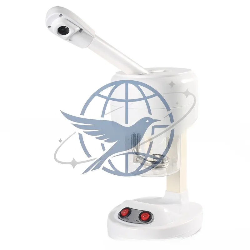 Hot spray face steamer Beauty moisturizing and hydrating instrument Face steamer Desktop mini hot spray Beauty spray DT03
