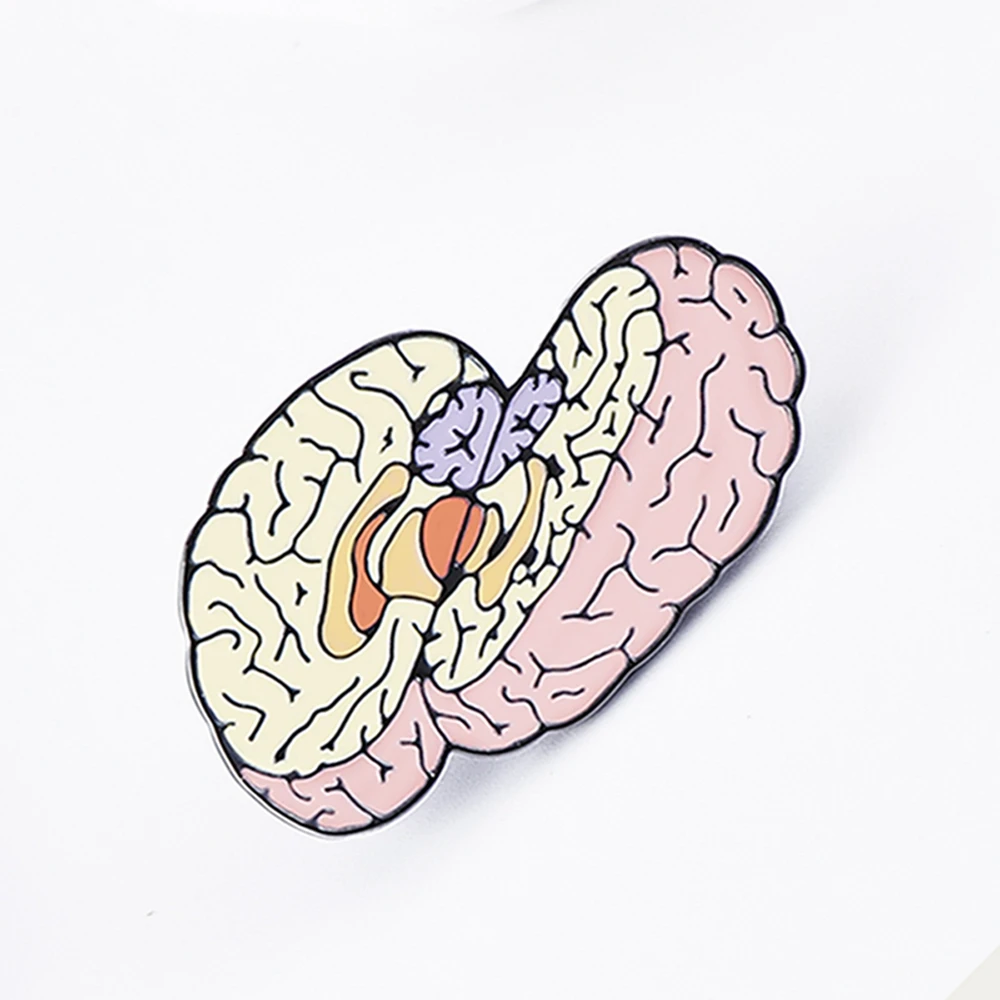 Medsor Funny Brain Anatomy Medicine Brooch Enamel Pin for Doctor Medico Creative Lapel Backpack Badge Accessories Gifts