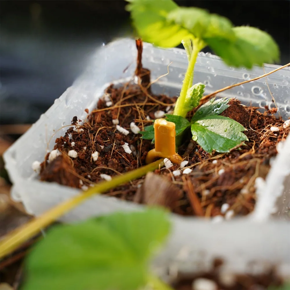Gardening Support Clips for Vining Plants Plastic Pins to Maintain Plant Structure and Encourage Uniform Growth Patterns