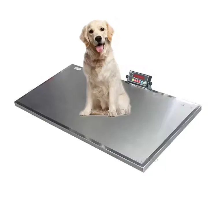 Báscula de plataforma para pesar mascotas de la fábrica Pujia, con acero inoxidable, para uso en clínicas veterinarias y animales.