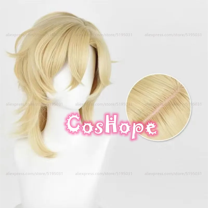 HSR Aventurine Cosplay Wig 40cm Short Hair Golden Wig Cosplay Anime Cosplay Wigs Heat Resistant Synthetic Wigs