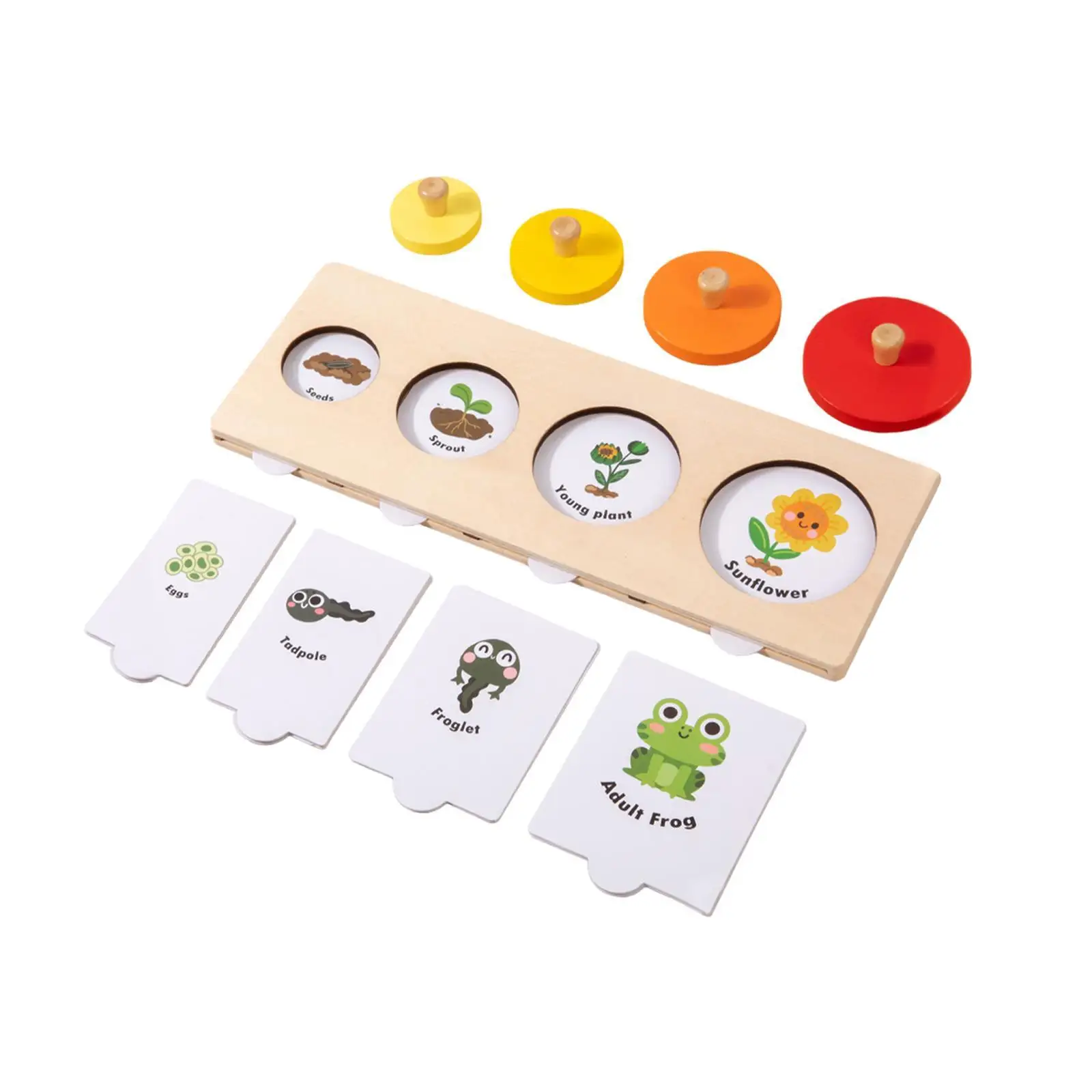 Puzzle Toy Life Cycle Wooden Educational Learning Cartoon Jigsaw Puzzle Montessori Toy for Toddlers Kids 3+ Year Old Gifts