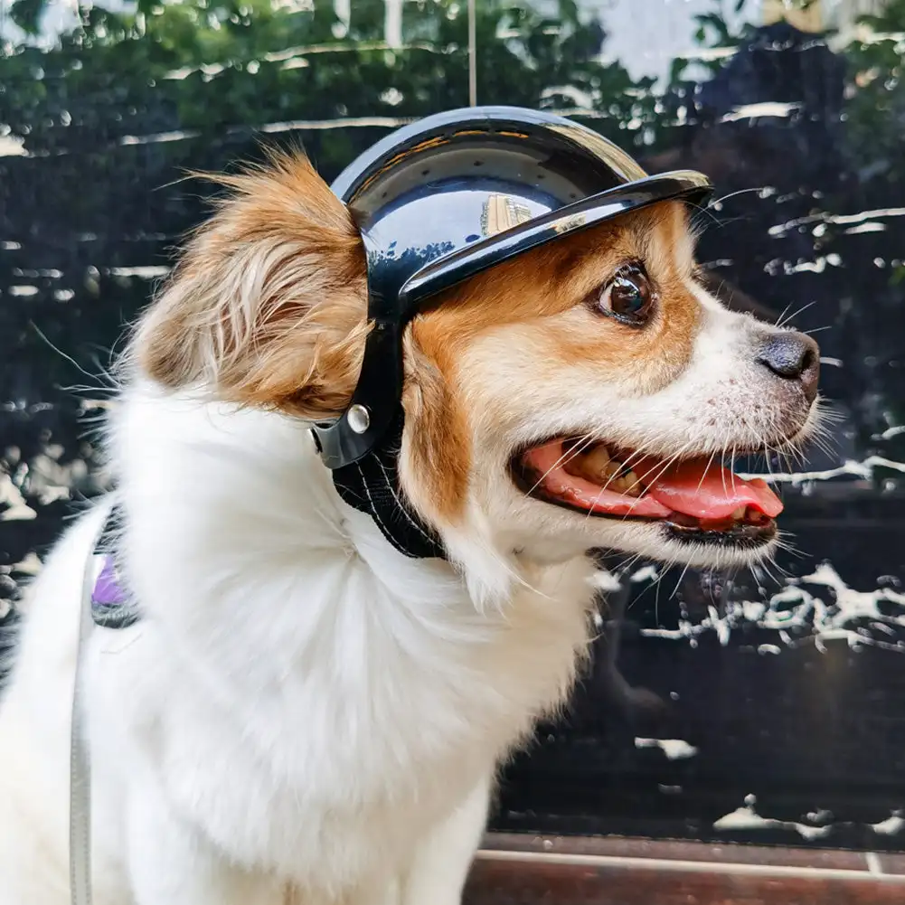 Small Pet Dog Helmet with Ear Hole Motorcycle Dog Helmet Multi-Sport Dog Hard Hat Outdoor Bike Doggy Cap for Dogs and Cat