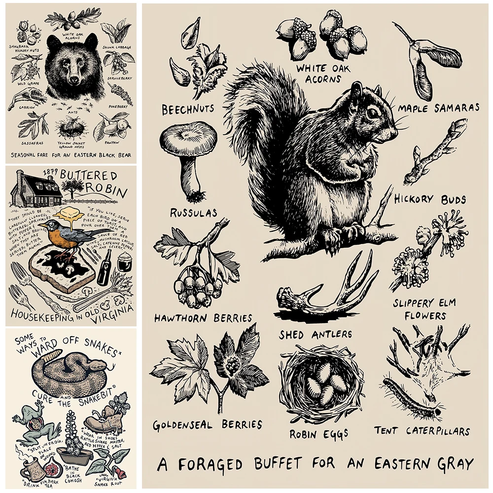 Natural Animal Knowledge Vintage Wall Art Canvas Painting Squirrels,Bears, And Snakes Retro Art Poster And Print Home Decoration