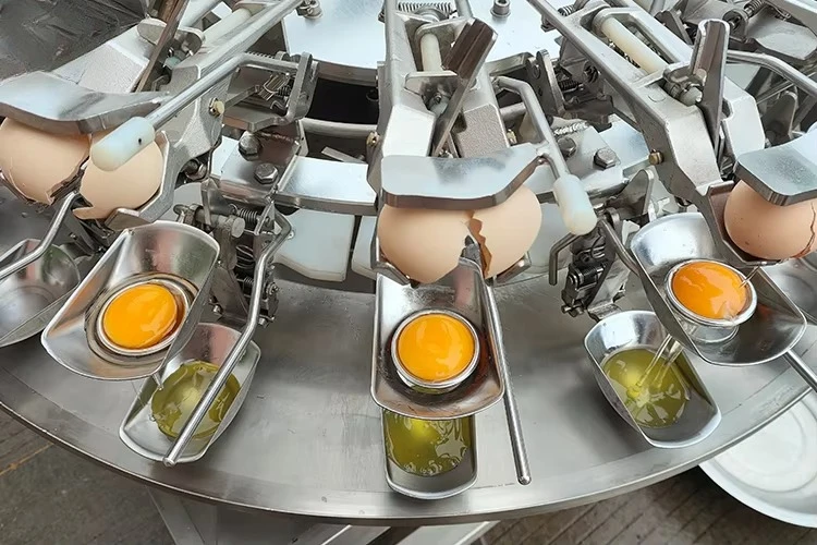 Egg Breaking Separator Machine High Efficiency For Egg Powder Making Workshop Customized