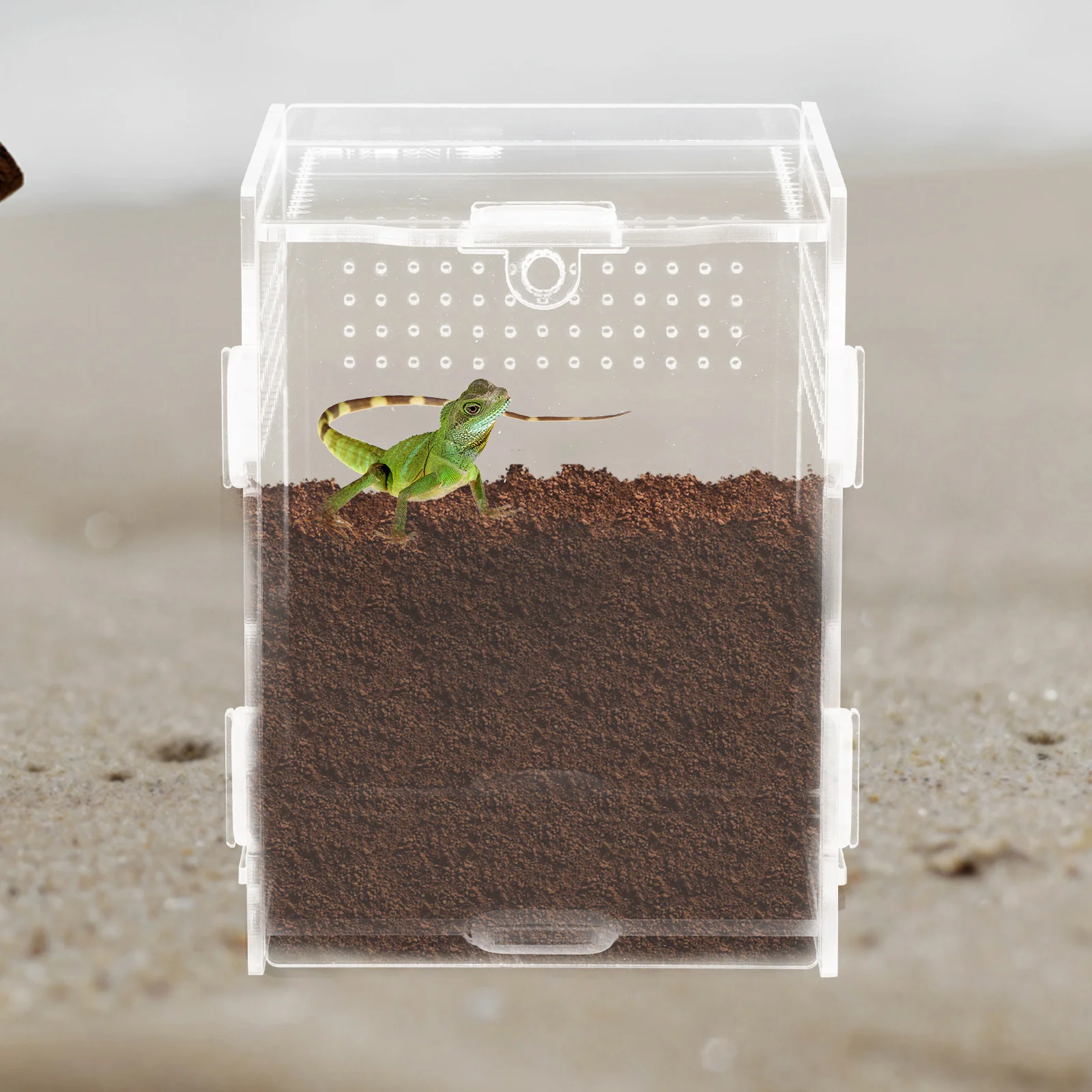 

Clear Acrylic Reptile Feeding Box with Ventilation Holes for Spider Lizard Frog Terrarium Habitat Breeding Container
