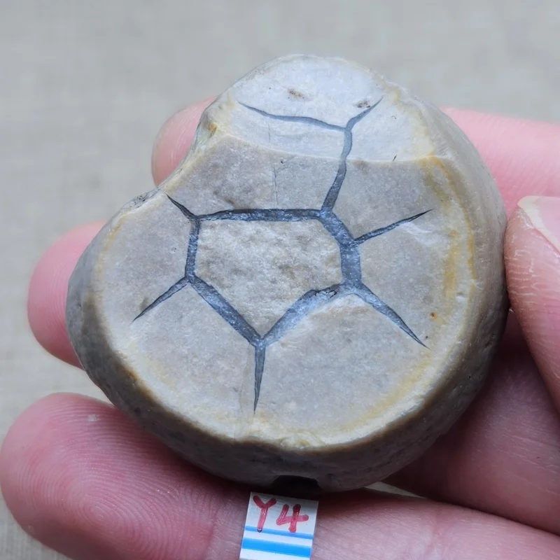

New Natural Lightning-Patterned Stone Energy Magic Chakra Gemstone Spiritual Healing Home Decoration