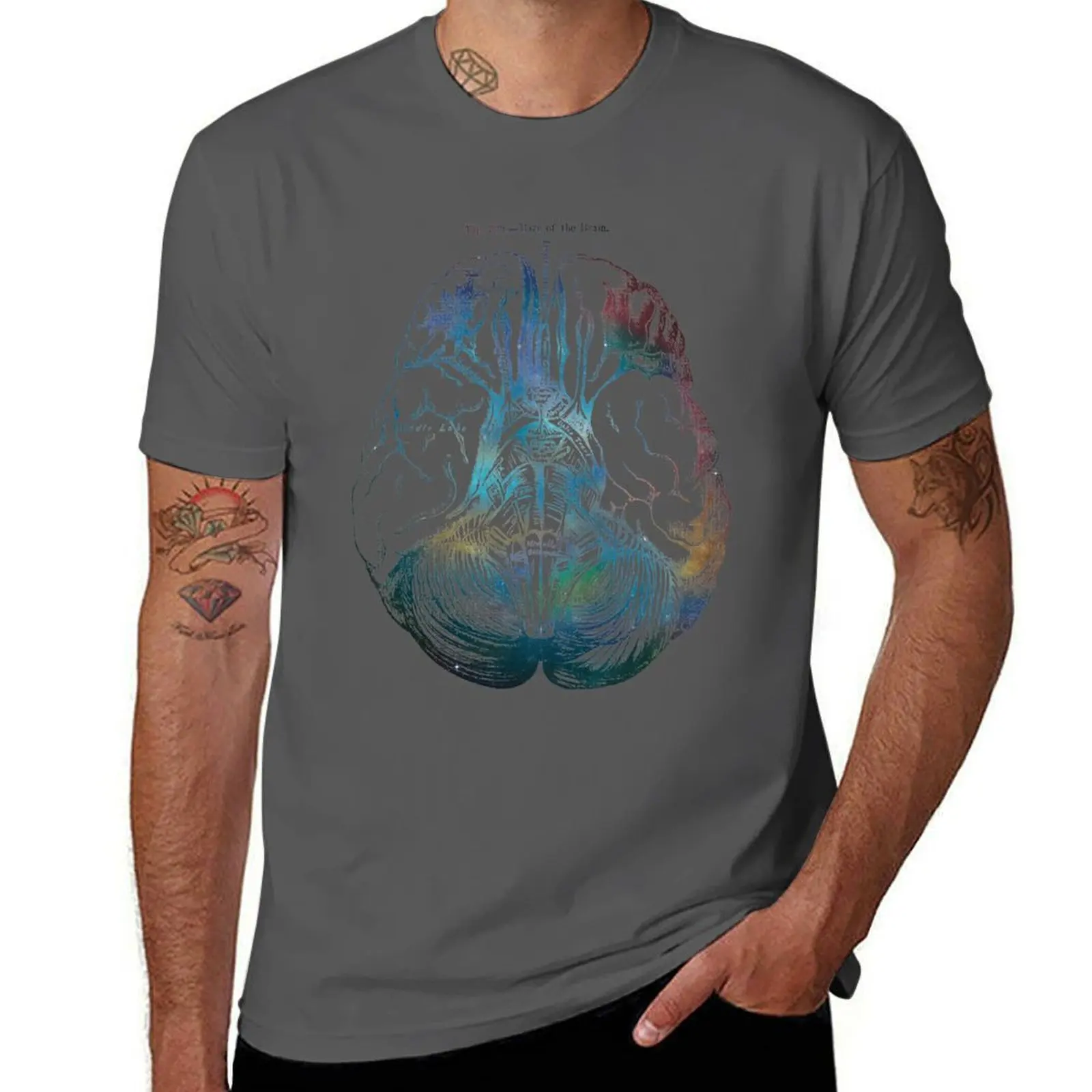 

Ancient Brain Drawing - Type B T-Shirt man t shirt cotton man graphic t shirt T-Shirt