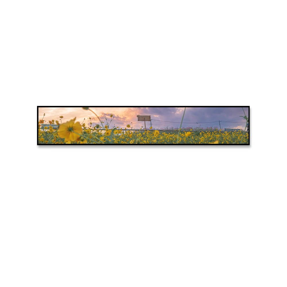 Display pubblicitario LCD con barra elastica per schermo video da parete con display pubblicitario LCD di grandi dimensioni per supermercato