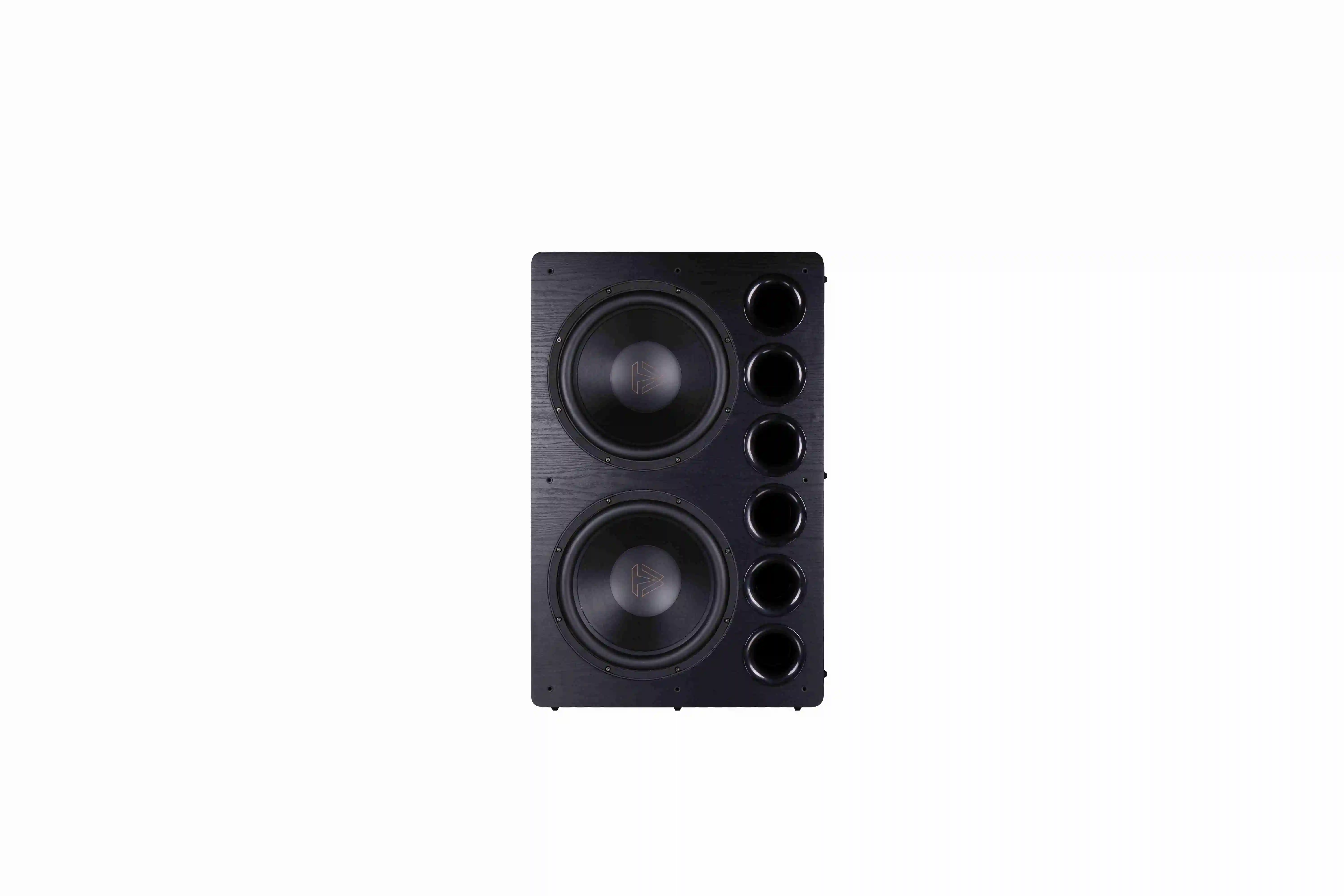 Tonewinner Dual 15-inch Drivers 180mm Dual Magnets Subwoofers 85KG 8000W Peak Power Subwoofer