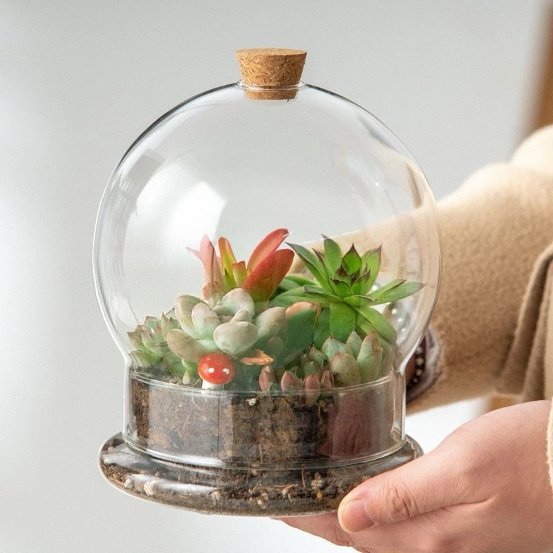 Diameter=10cm 12cm 15cm Round Fission Glass Dome Base Home Decoration Breathable Cork Stopper Cover DIY Friend Favor Gift