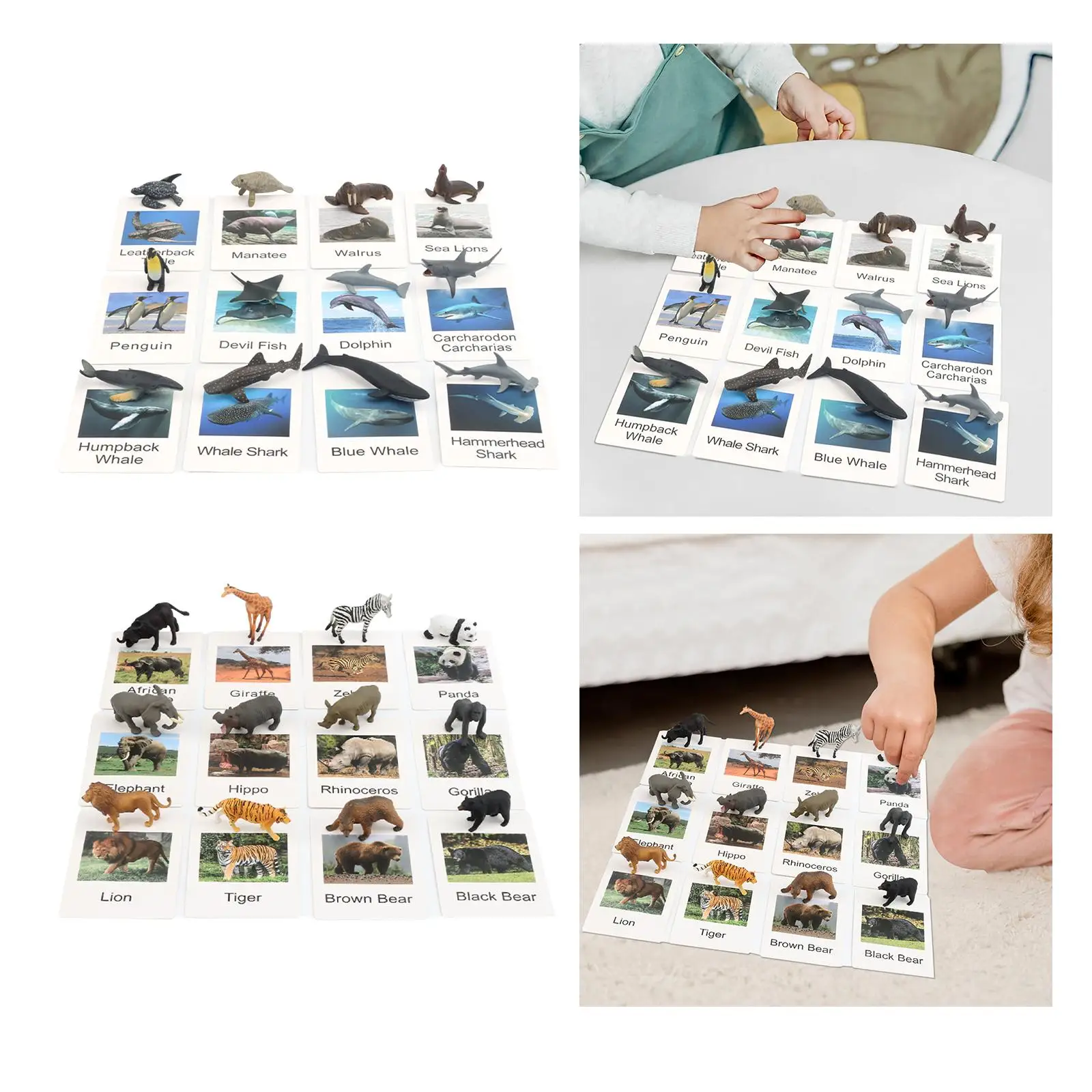 

12 Pieces Mini Animal Figures with Flash Cards Science Educational for