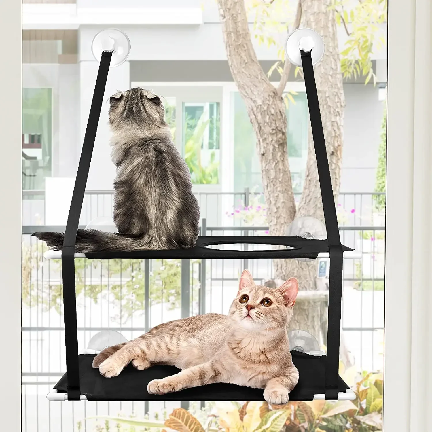 

KLYM-Cat Window Perch, Stable Hammock, Holds up to 55 lbs and 360 ° Sunbath, 2 Screw Suction Cups, Easy to Assemble for Cats