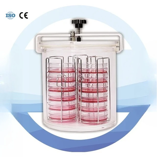 

Customizable PMMA Anaerobic Jar with 3 Stacks of 12 Dishes for Laboratory Use OEM Support