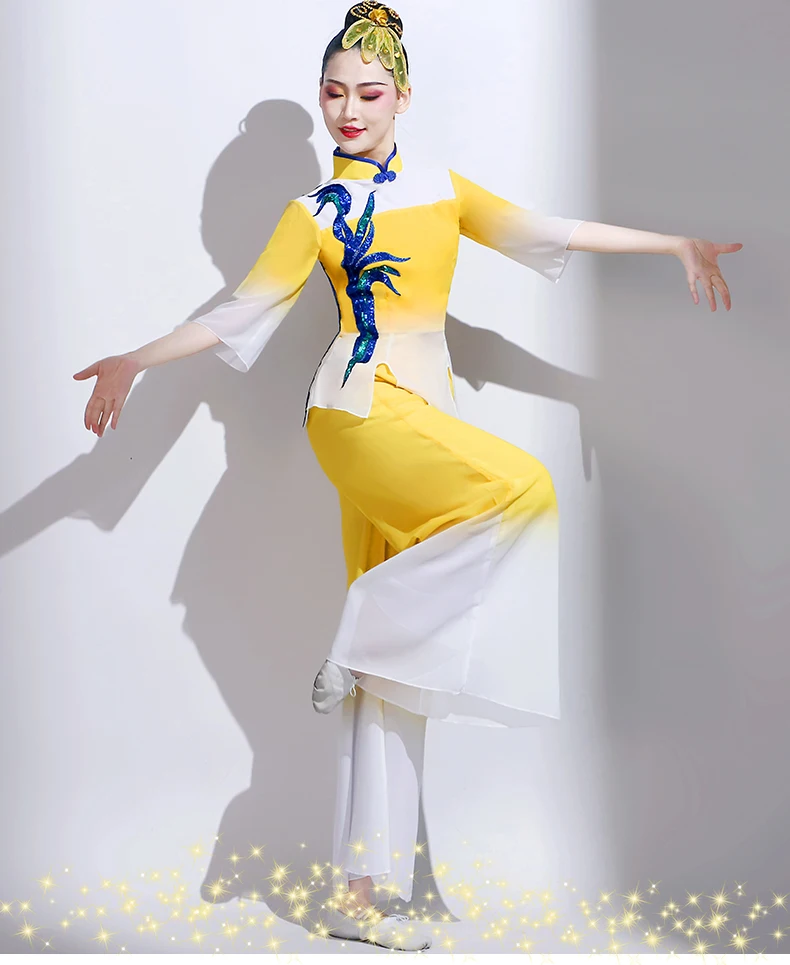 

Classical Dance Drama Yellow River Water Passing through My Door Performance Costume Female Fan Dance Yangko Costume