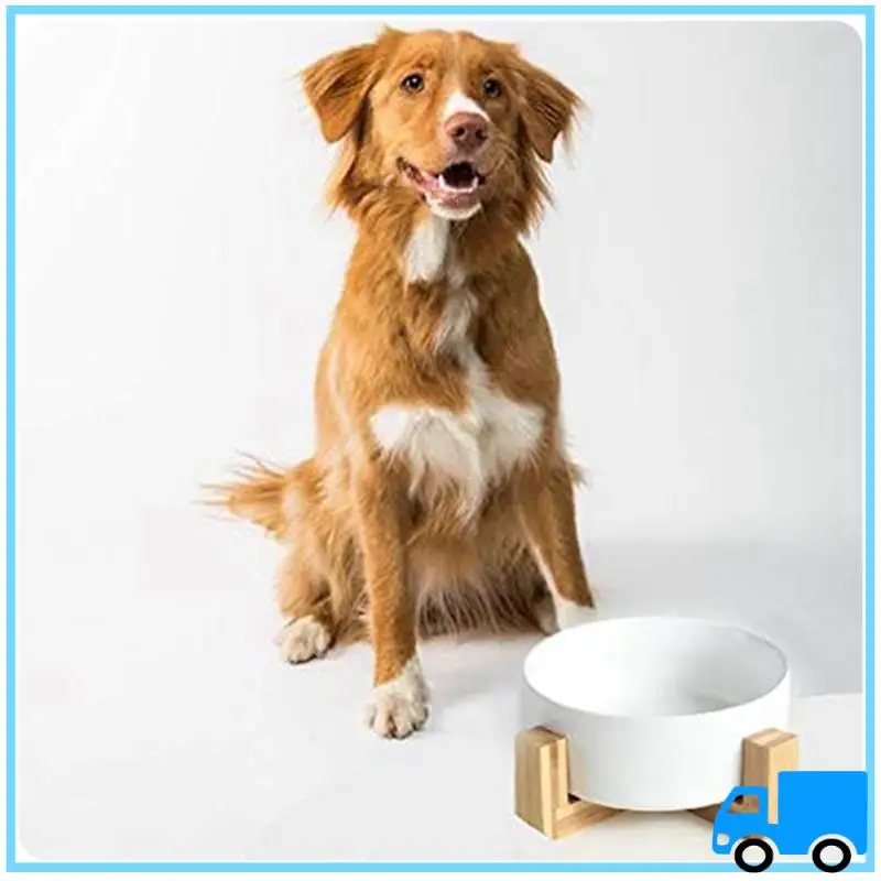 

Latest Round Dog-Cat Bowl Durable Food Water Elevated Dish Food Water Bowl Set For Pet, With Wood Stand, Bowl With Stand