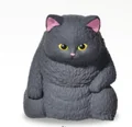 black cat