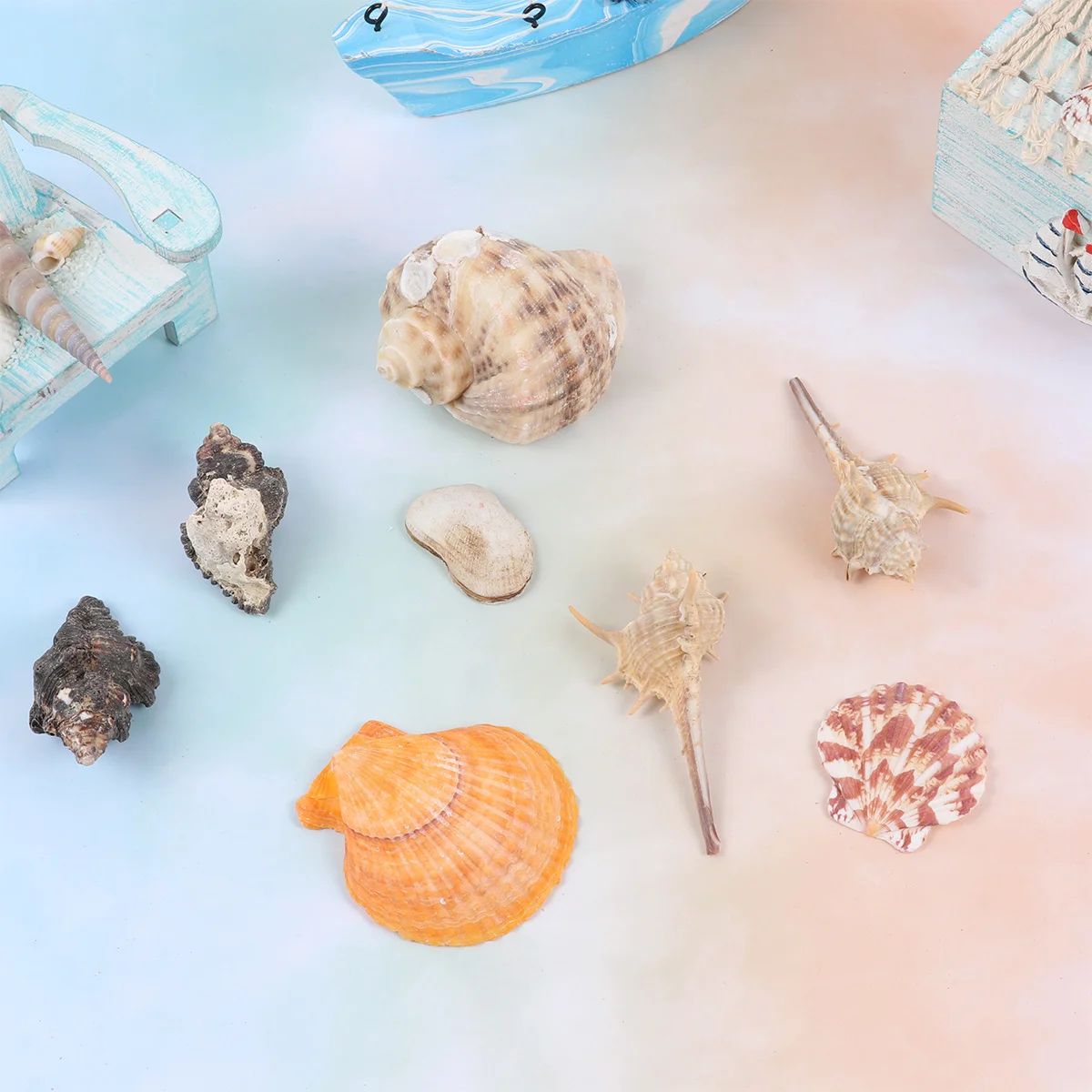

350G Sea Shells Mixed Ocean Beach Conch Shell Natural For Vase Fillers Photo Props Diy Home Decor Shell Ornaments Sea Style